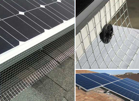Solar Panel Pigeon Guard Edinburgh